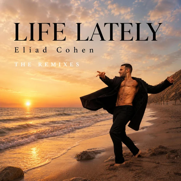 Life Lately The Remixes cover